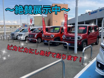 今週末は春の中古車商談フェア☆★